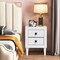 Costway 2 PCs Nightstand End Bedside Coffee Table Wooden Leg Storage Drawers White